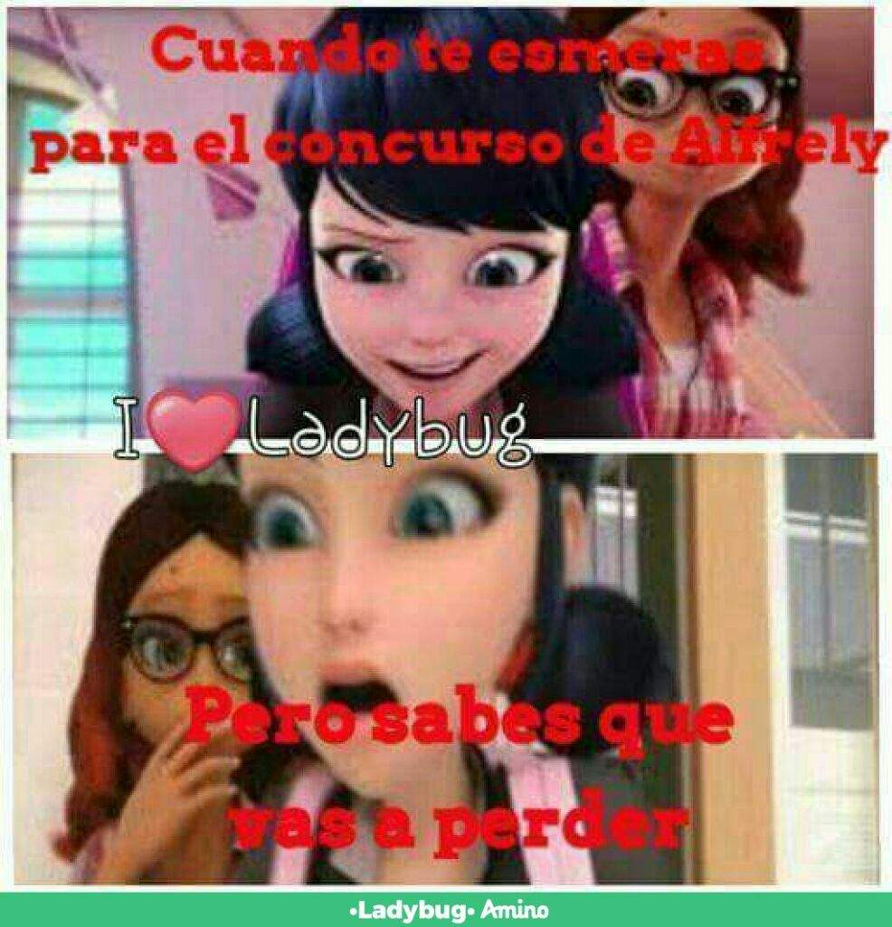 Meme de ladybug 46 | •Miraculous Ladybug Español• Amino