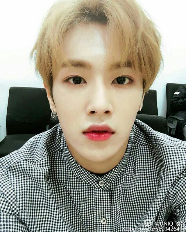 Wenhan | Wiki | •Kpop• Amino