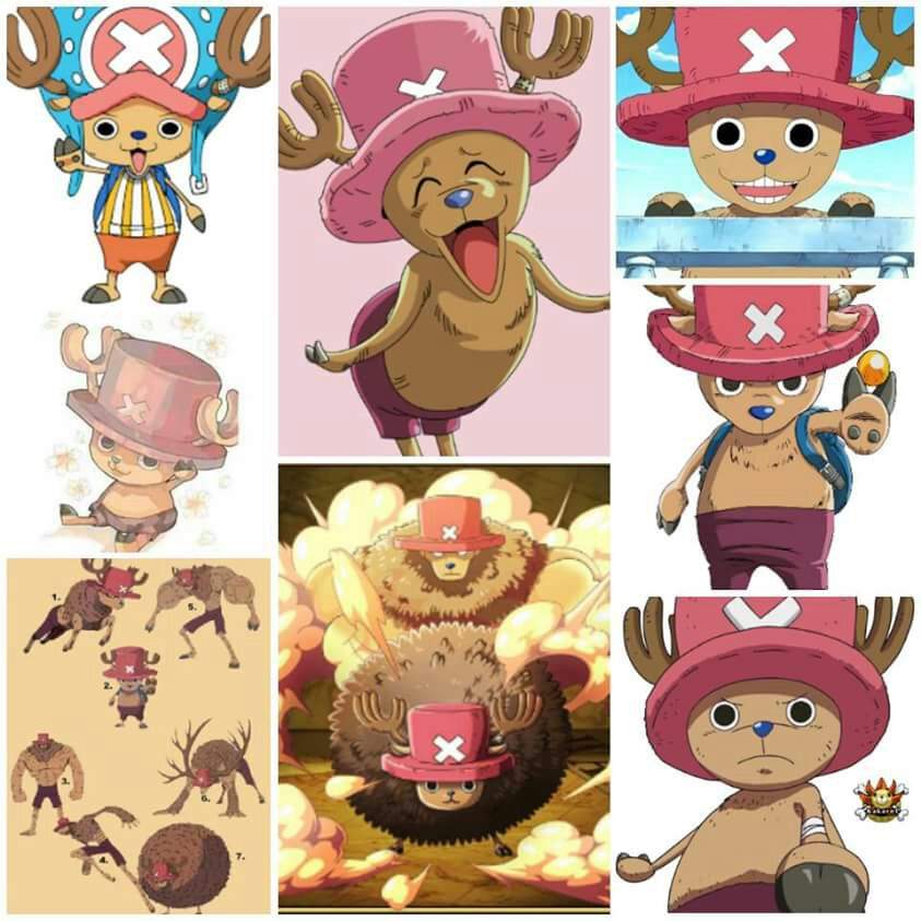 Feliz cumpleaños doctor Chopper | •One Piece• Amino