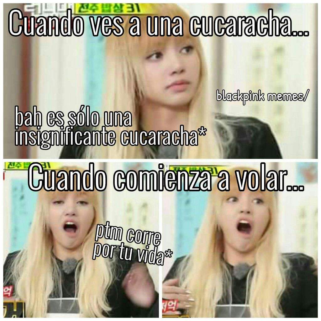 BLACKPINK MEMES ESPAÑOL | •K-Pop• Amino