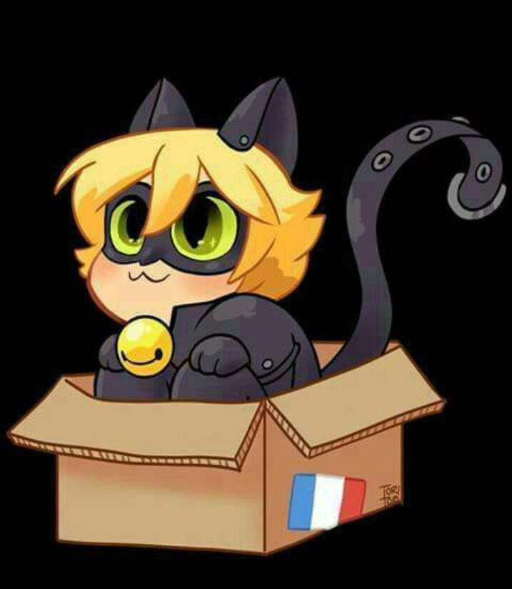 Chat Noir Kawaii Miraculous Ladybug Espanol Amino