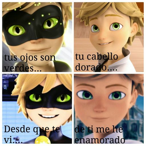 Poema Chat Noir | Wiki | •Miraculous Ladybug Español• Amino