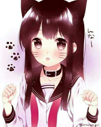 Hablemos de gatos parte 2 | •Anime• Amino
