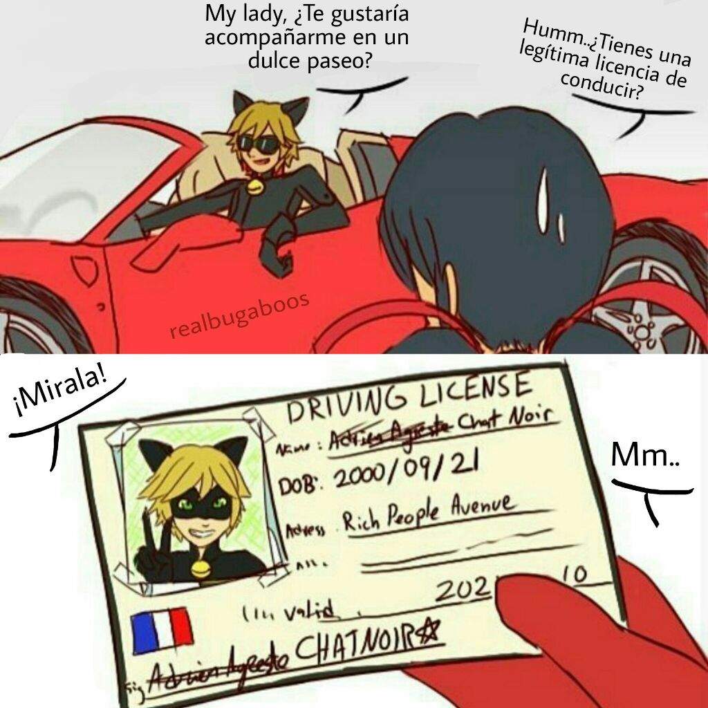 Memes | •Miraculous Ladybug Español• Amino