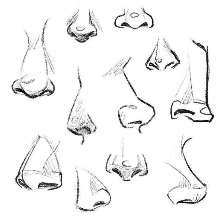semi realistic nose sketch