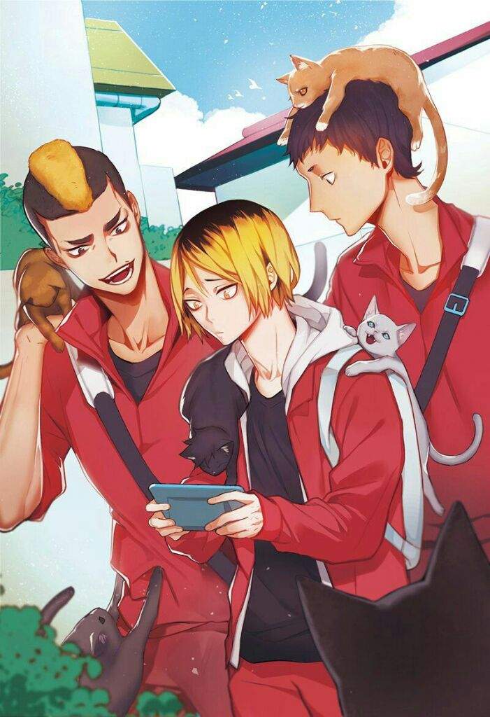 Nekoma🐱 Wiki Haikyuu Amino