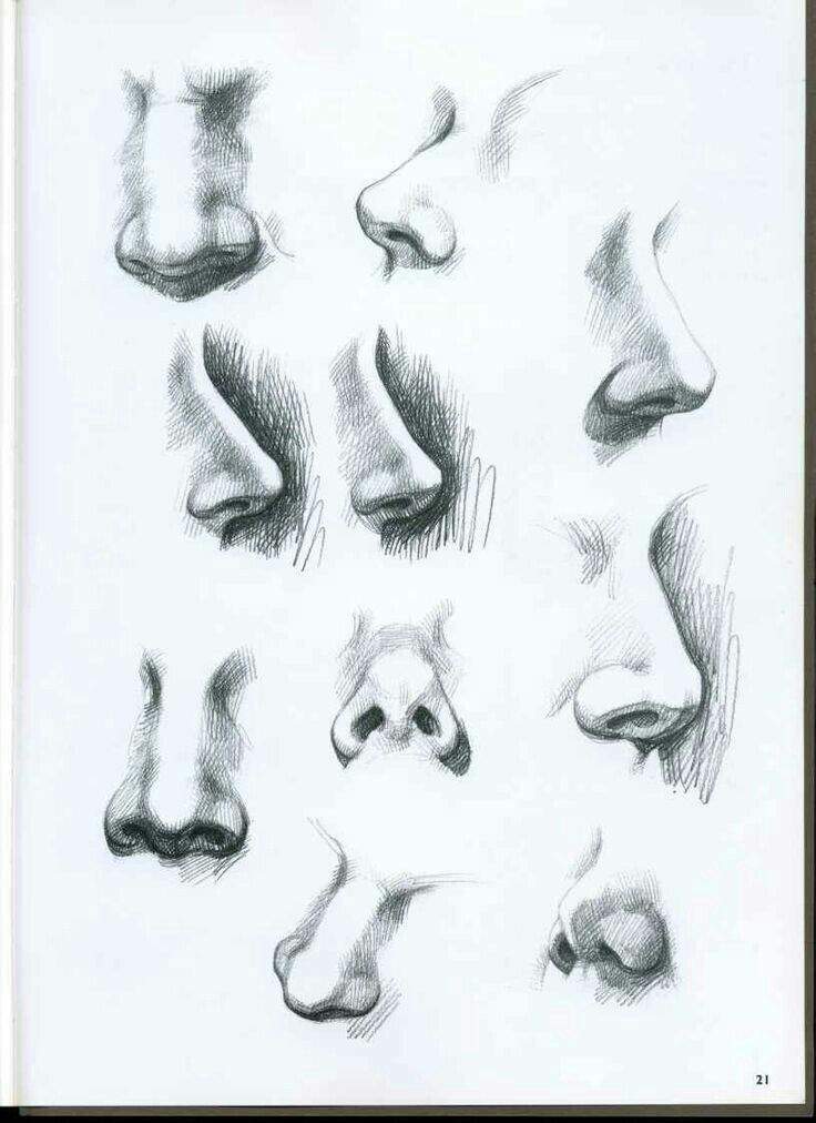 👃Drawing realistic nose references | Wiki | Art Amino