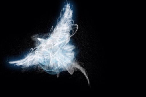 Crow Patronus | Wiki | Harry Potter Amino