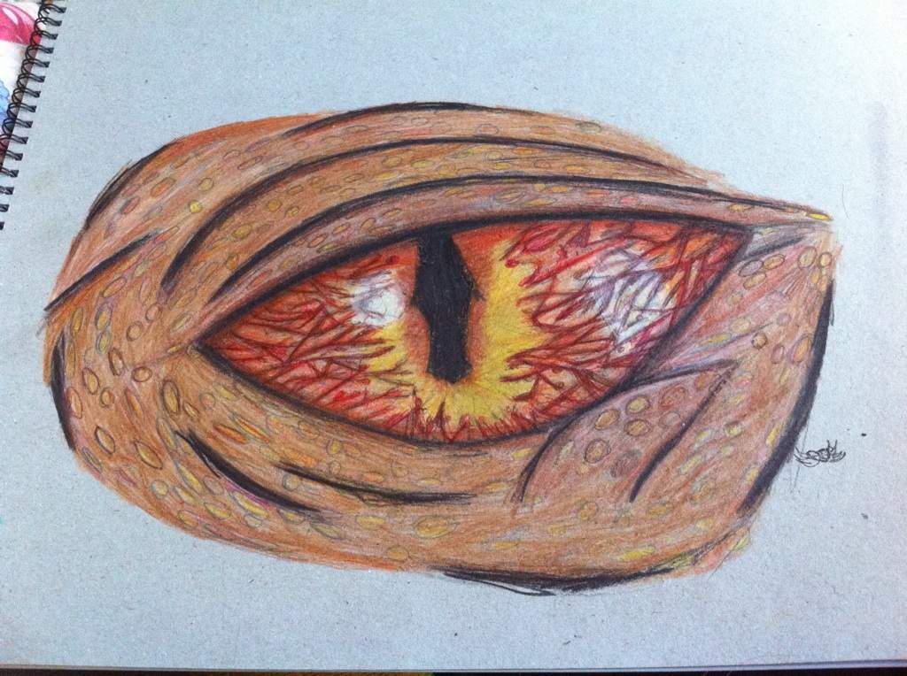 Eye of Smaug | Art Amino