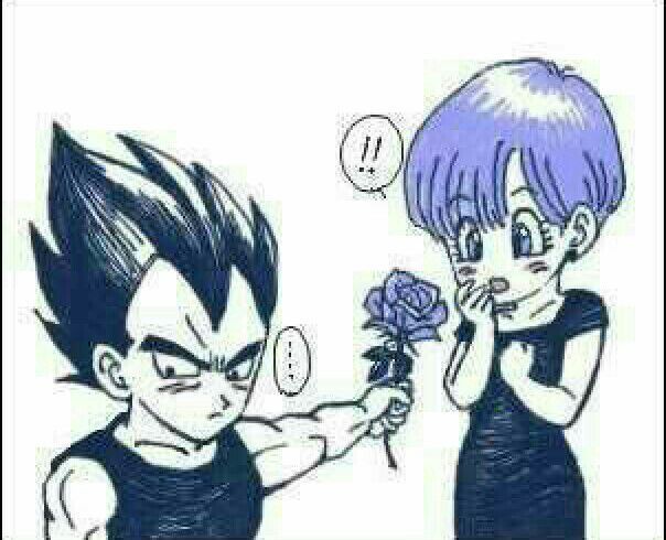 Vegeta Y Bulma😍 Wiki Dragon Ball EspaÑol Amino