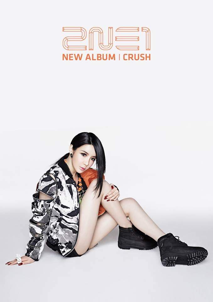 Park Bom 2ne1 Wallpaper Request K Pop Amino