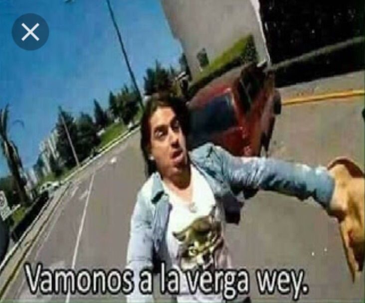 Vamonos A La Verga Wey Wiki •Meme• Amino