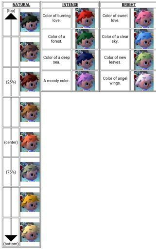 Character Customization Guide Wiki Animal Crossing Amino