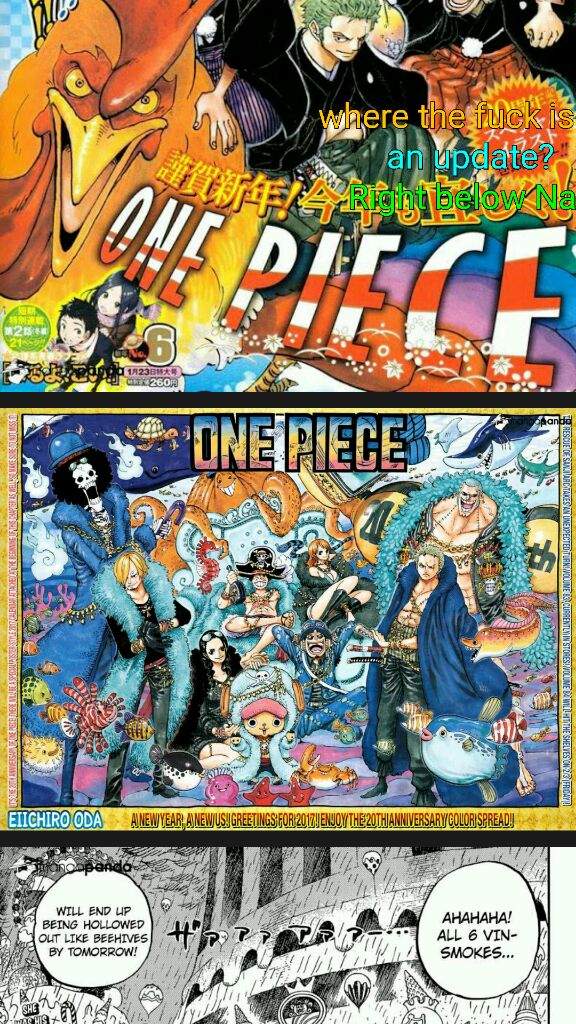 One Piece Chapter 851 Yay My Love Has Returned Anime Amino