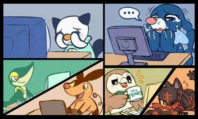 rowlet memes and images part 2 pokéverse™ amino 5c8da8aafb159cc67d4b0c11eaa5a88a87d040be_hq rowlet memes and images part 2 pokéverse™ amino