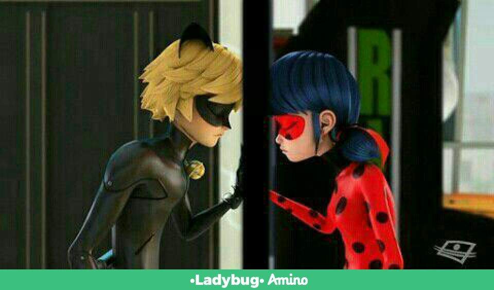 Ladybug Y Chat Noir Un Amor Oculto Miraculous Ladybug