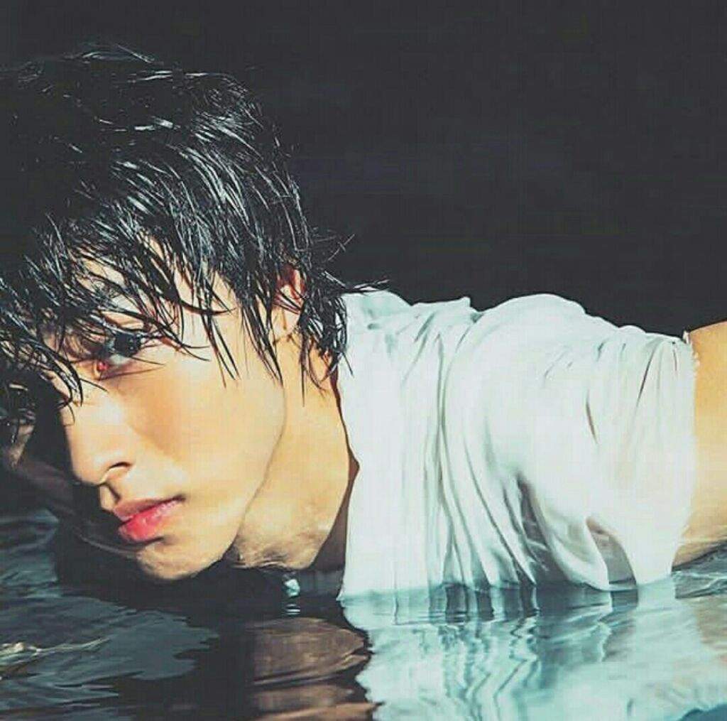 Kento Yamazaki Kento Yamazaki Amino Amino