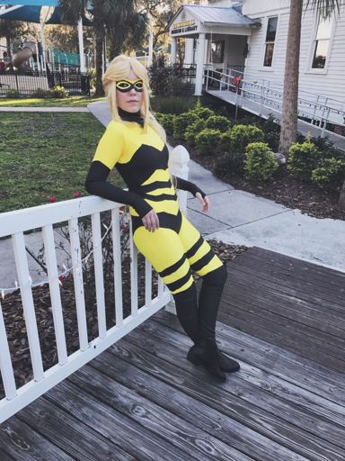 Косплей на би би. Квин би. Квин би косплей. Костюм Квин би. Queen Bee Cosplay.