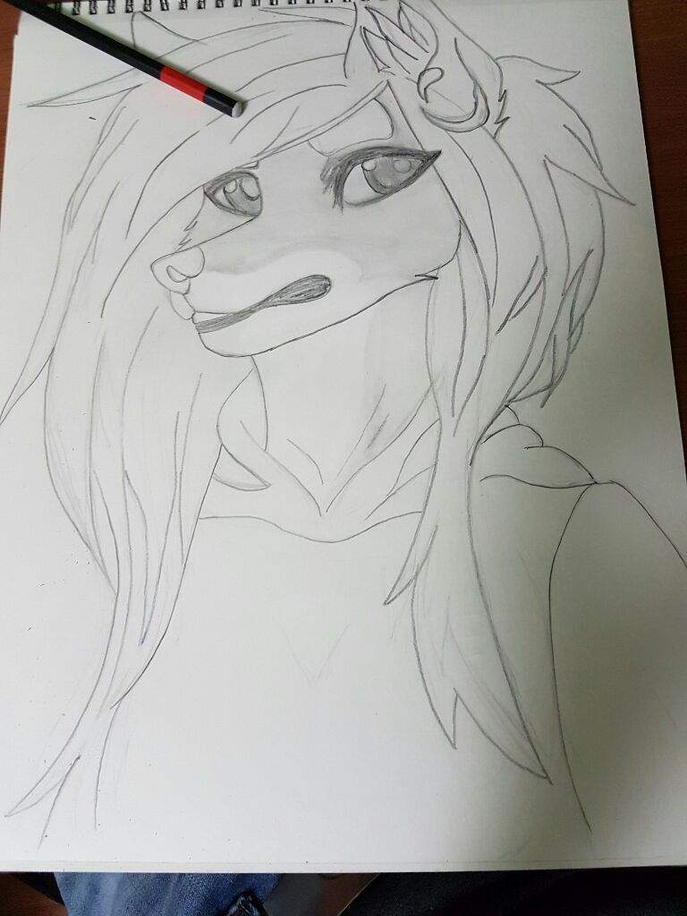 Dibujo Recién Terminado 📣🙂 Furry Español Amino 