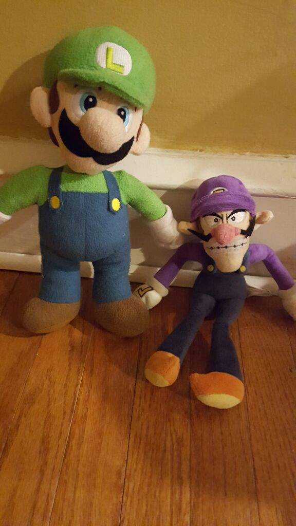 luigi vs waluigi