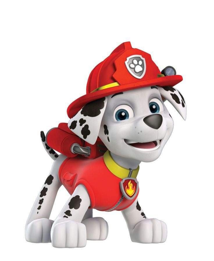 Marshall | Wiki | 🐾PAW Patrol United!🐾 Amino