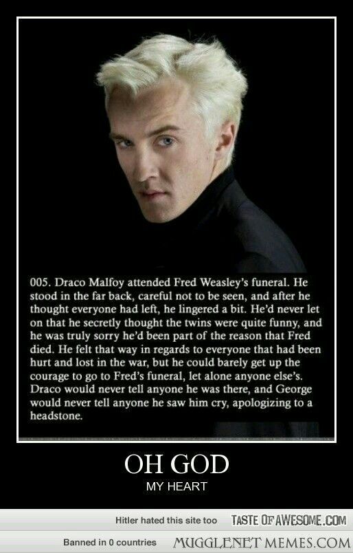 harry potter vs draco malfoy essay