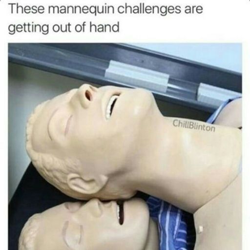 Mannequin challenge | Dank Memes Amino