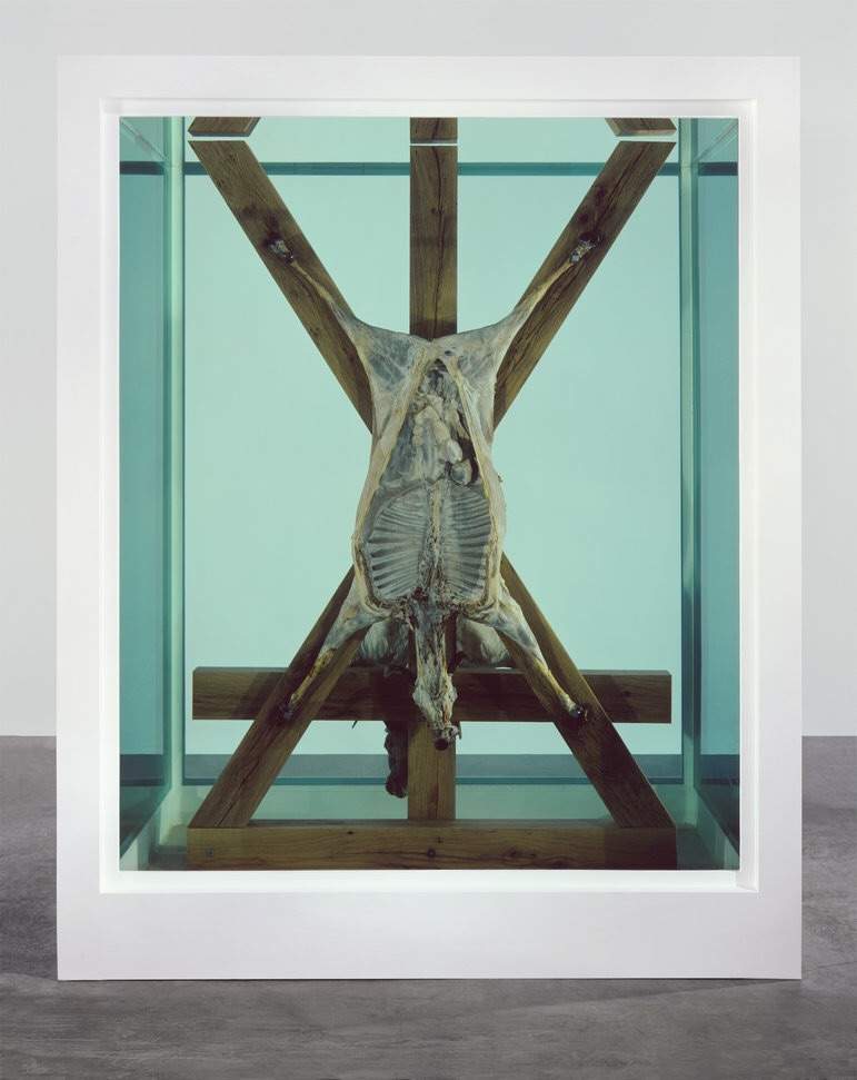 Damien Hirst Wiki Historia Del Arte Amino Damien Hirst Wiki Historia Del Arte Amino