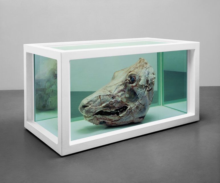 Damien hirst картины