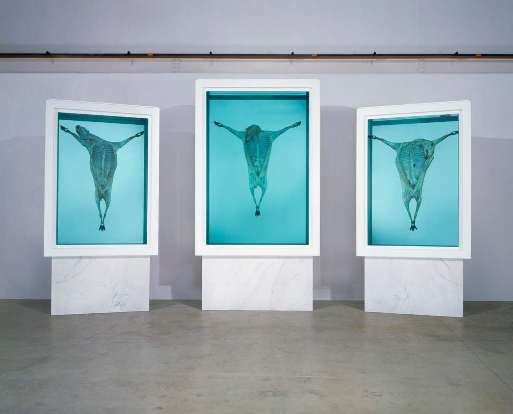 Damien hirst картины