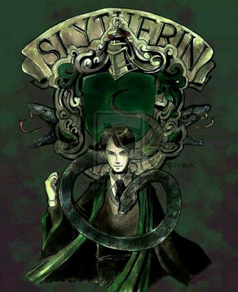 Lord Voldemort💀🐍 | Wiki | Harry Potter Amino