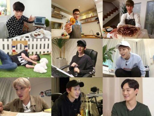 Exo variety shows 2017 list