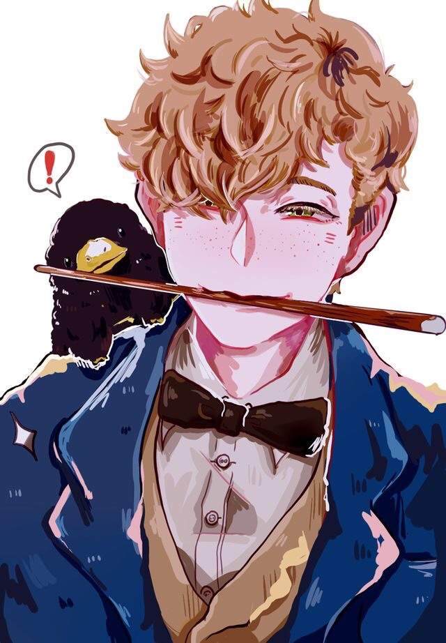 Newt Scamander Wiki Harry Potter Amino 6558