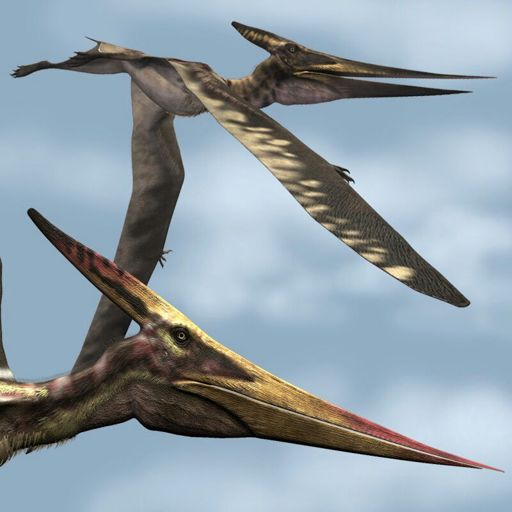 Pteranodonte | Wiki | O Reino Está Ameaçado! Amino