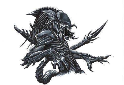512px x 353px - Predalien | Alien Versus Predator Universe Amino
