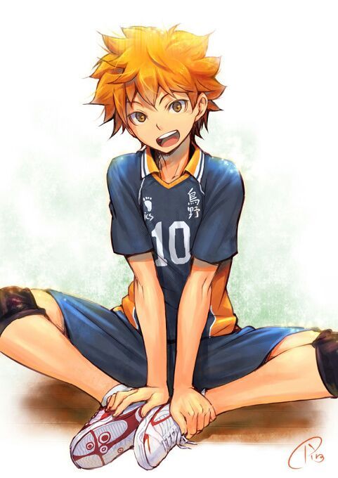 shoyo hinata smile