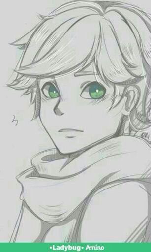 Adrien Chat Noir Miraculous Ladybug Espanol Amino