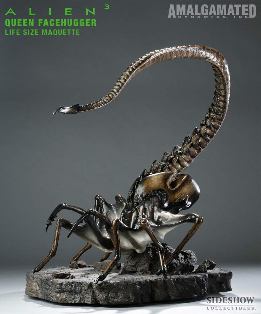 Royal Facehugger Wiki Alien Versus Predator Universe Amino