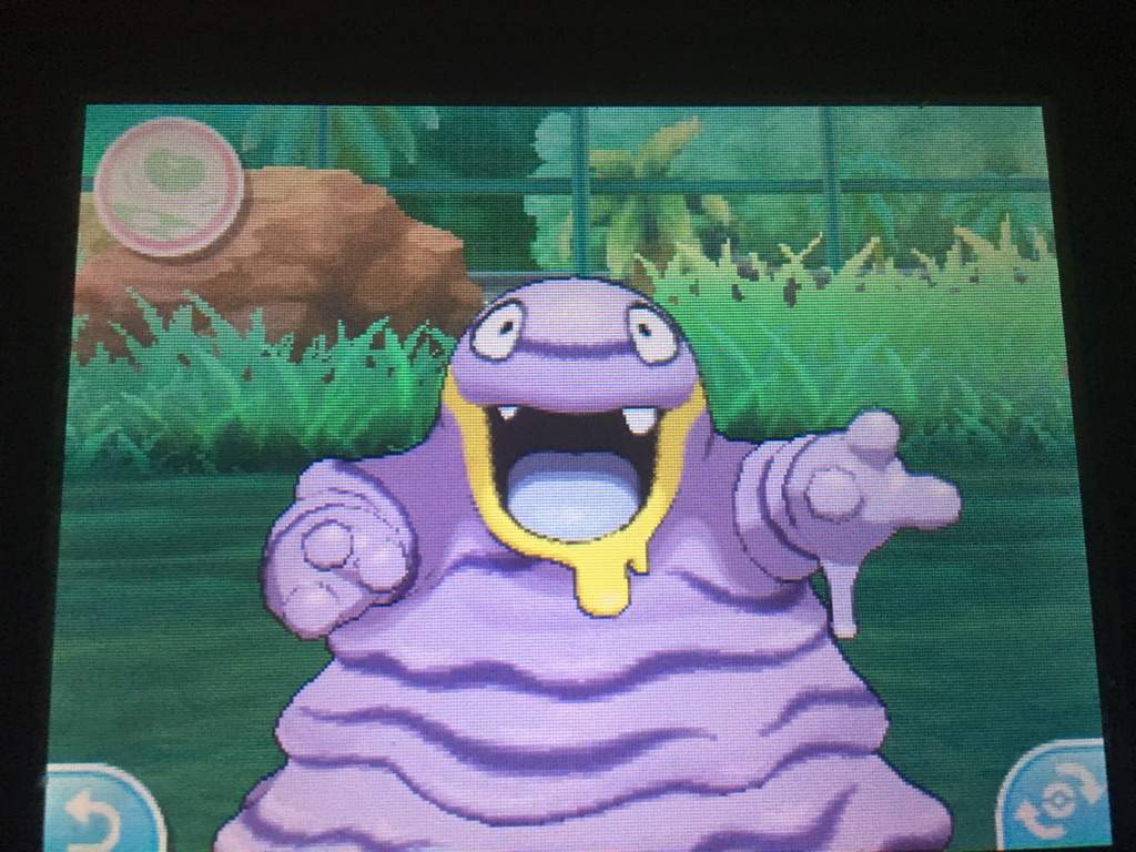 Shiny Alolan Grimer! Pokémon Amino