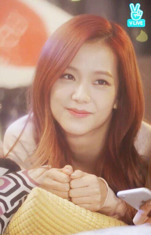 Happy Birthday Jisoo Wiki Blink 블링크 Amino 3415