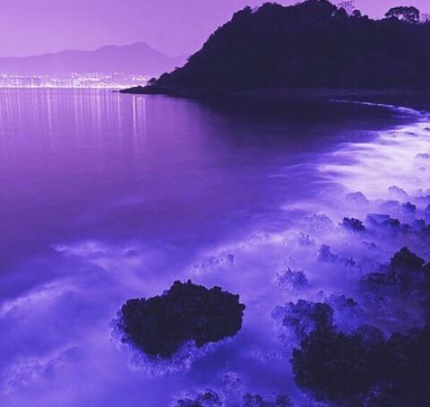 Light Purple Water Aesthetic (past) | Wiki | Virtual Space Amino