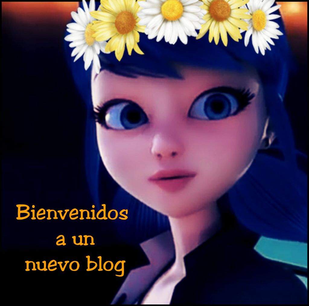 muñeco adrien de ladybug