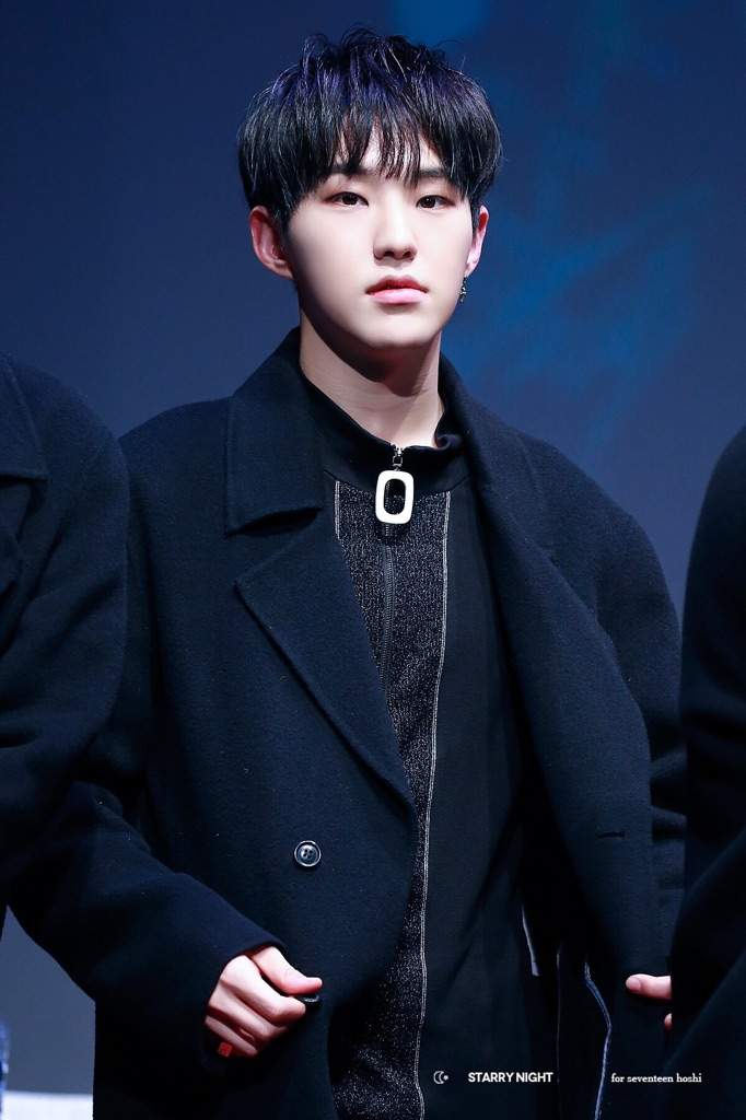 The Lovely Kwon Soonyoung | Carat 캐럿 Amino