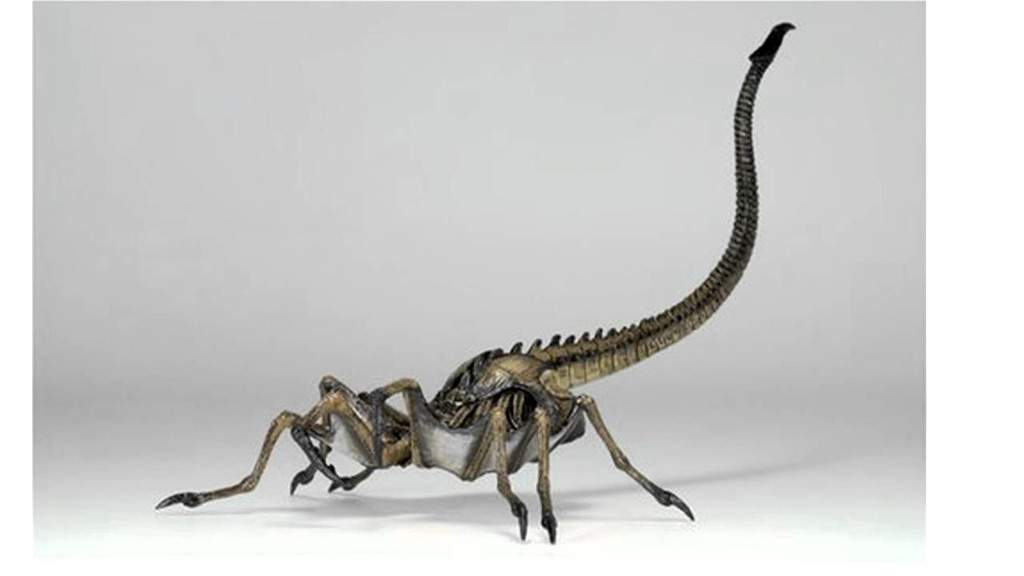 Royal Facehugger Wiki Alien Versus Predator Universe Amino