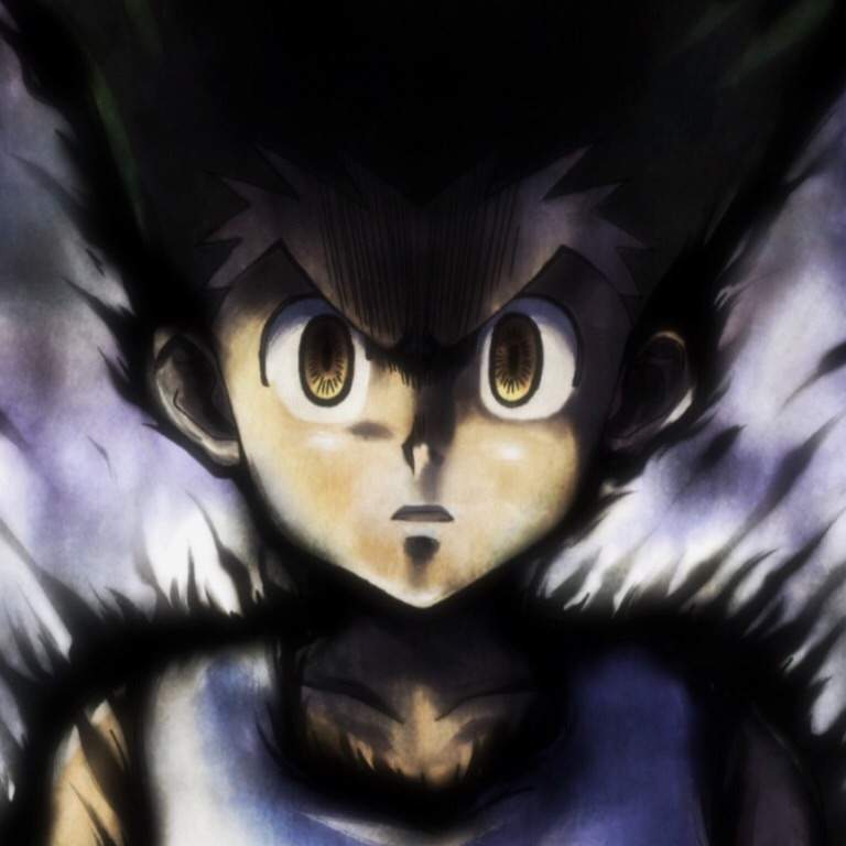 Top 5 Hunter x Hunter Characters. | Anime Amino