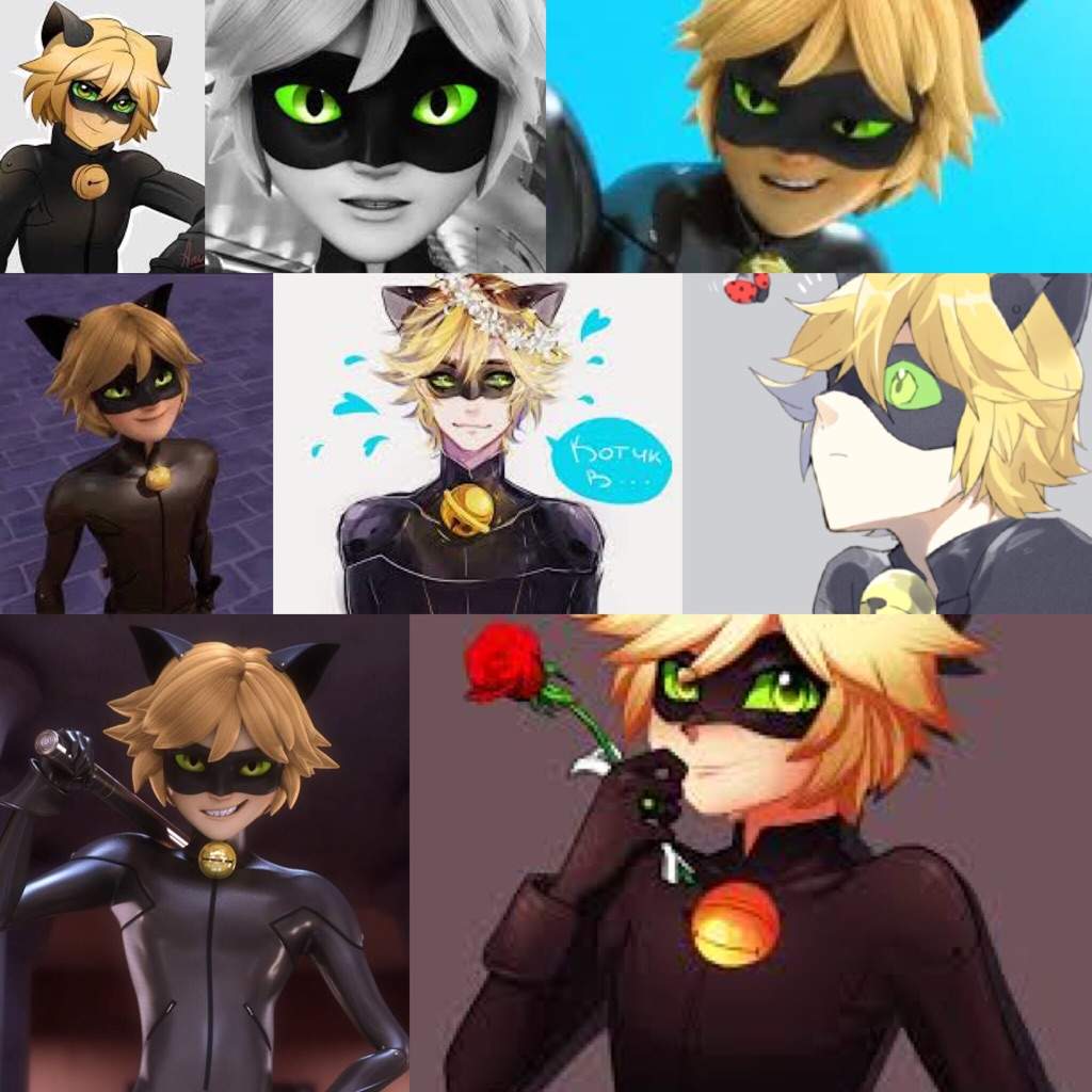 El Sexi Chat Noir | Wiki | •Miraculous Ladybug Español• Amino