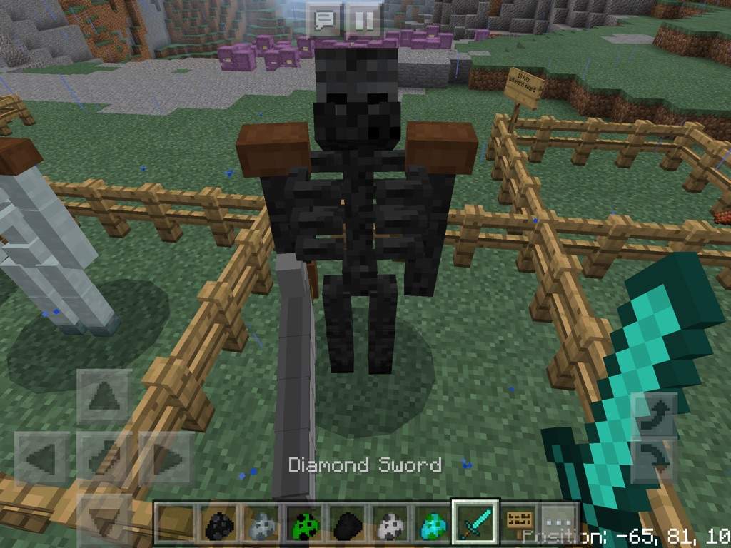 This is the wither skeleton! 