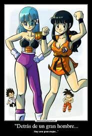 Vegeta X Bulma Dragon Ball Espanol Amino