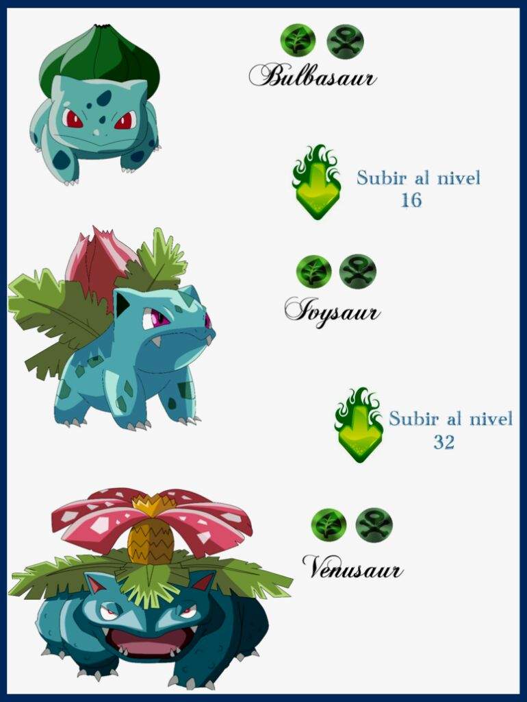 Bulbasaur Evolution Pokemon Pokemon Dungeon Pokemon Characters Pokemon ...