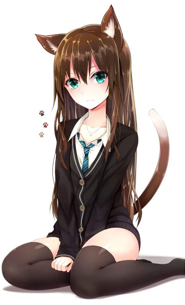 cat anime girl hot